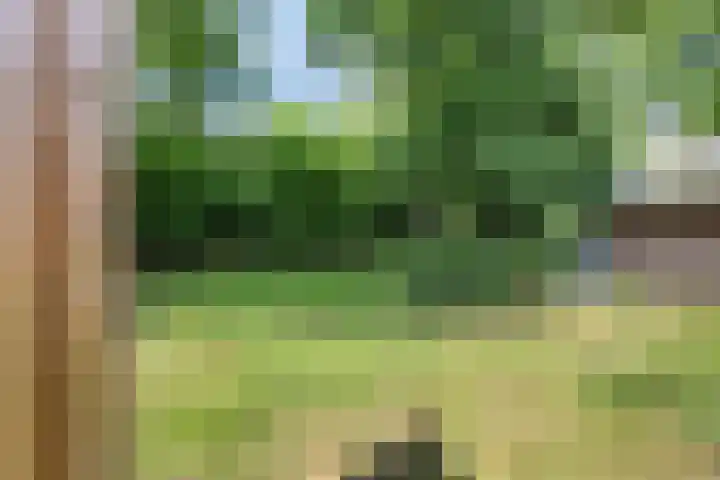 Sassenbergen 41 Borger thumbnail 34