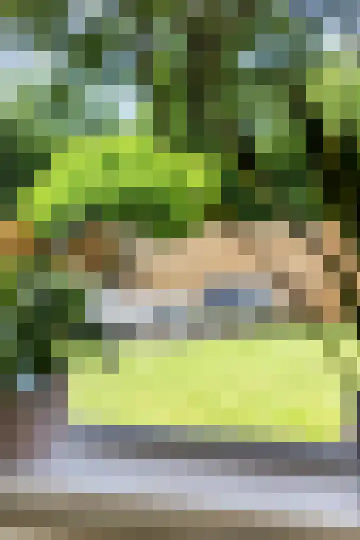 Sassenbergen 41 Borger thumbnail 35