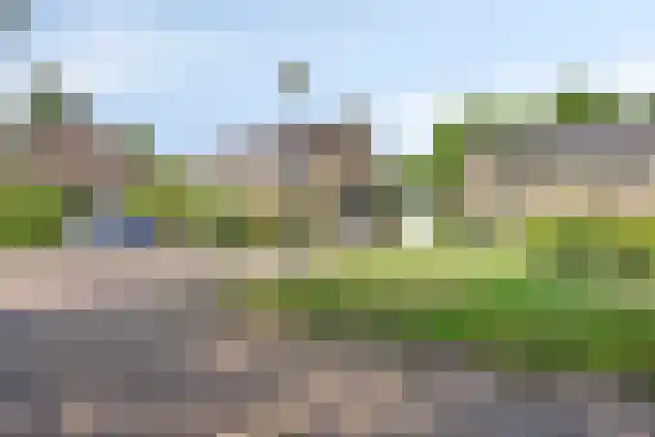 Sassenbergen 41 Borger thumbnail 39