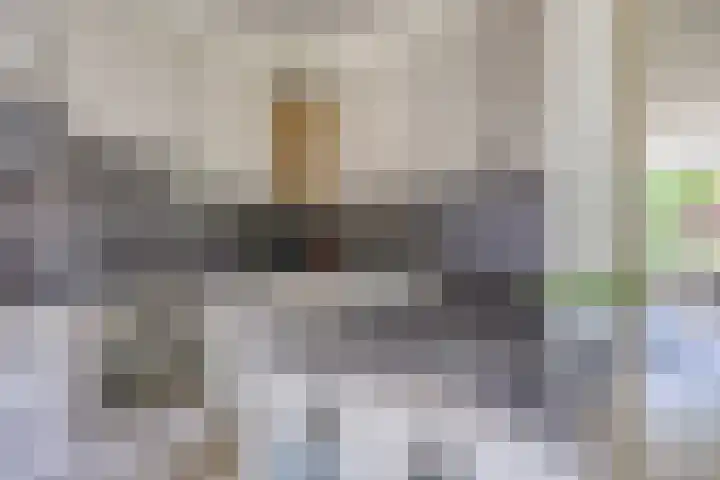 Sassenbergen 41 Borger thumbnail 4