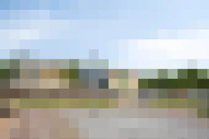Sassenbergen 41 Borger thumbnail 41