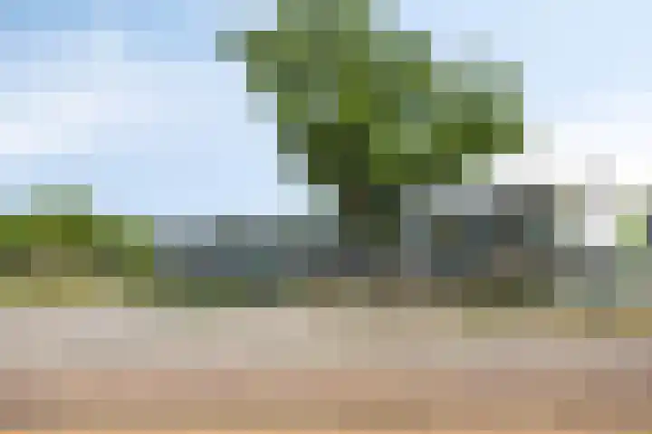 Sassenbergen 41 Borger thumbnail 42