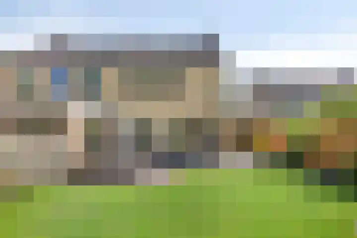 Sassenbergen 41 Borger thumbnail 5