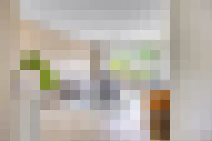 Sassenbergen 41 Borger thumbnail 7
