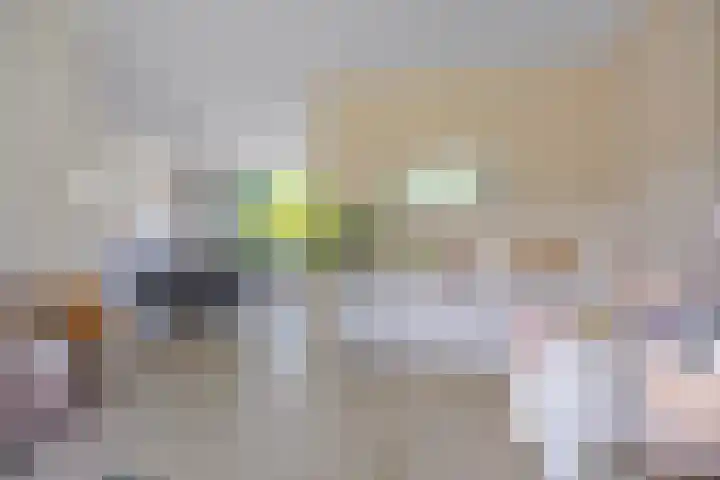 Sassenbergen 41 Borger thumbnail 8
