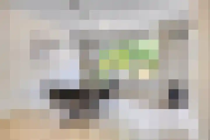 Sassenbergen 41 Borger thumbnail 9