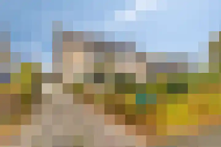 Sassenbergen 5 Borger thumbnail 10