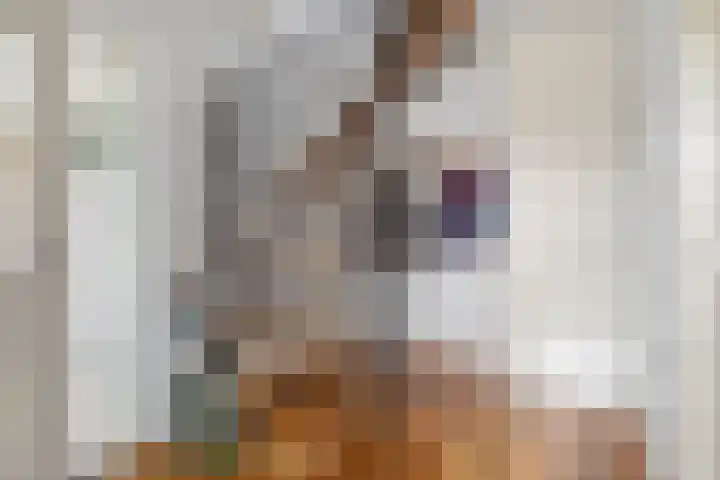 Sassenbergen 5 Borger thumbnail 13