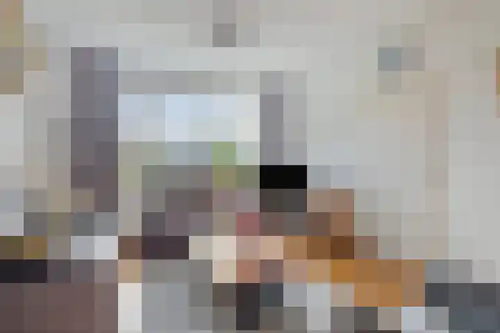 Sassenbergen 5 Borger thumbnail 16