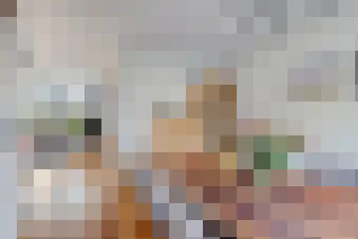 Sassenbergen 5 Borger thumbnail 20