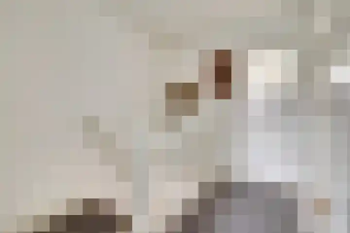 Sassenbergen 5 Borger thumbnail 22