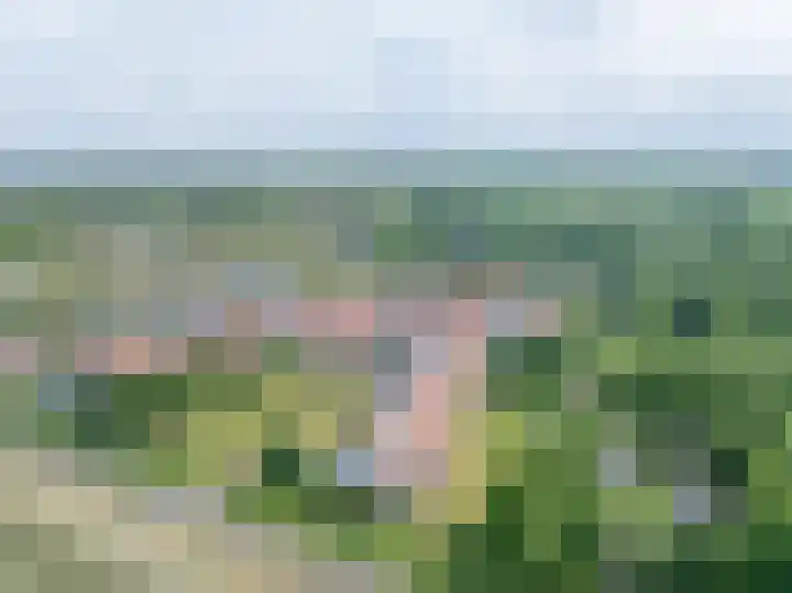 Sassenbergen 5 Borger thumbnail 25