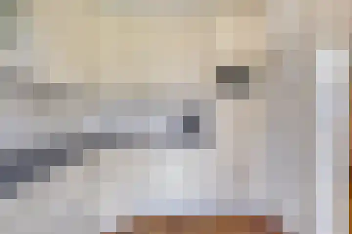 Sassenbergen 5 Borger thumbnail 25