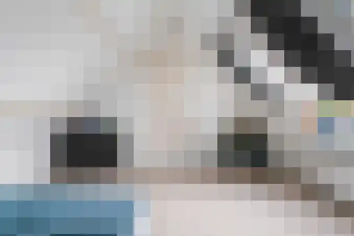 Sassenbergen 5 Borger thumbnail 28