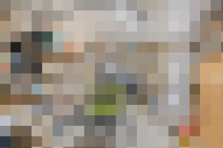 Sassenbergen 5 Borger thumbnail 39