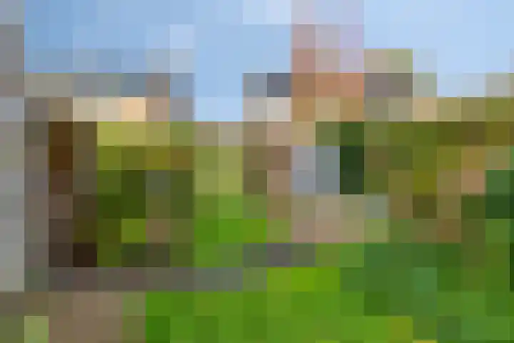 Sassenbergen 5 Borger thumbnail 41