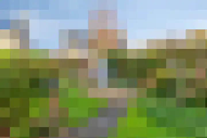 Sassenbergen 5 Borger thumbnail 42