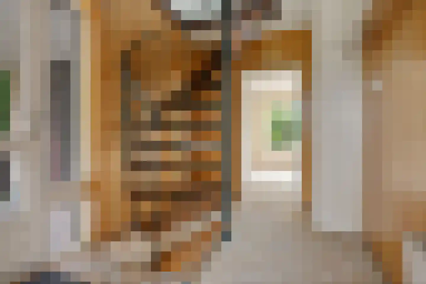Sassenbergen 61 Borger thumbnail 10