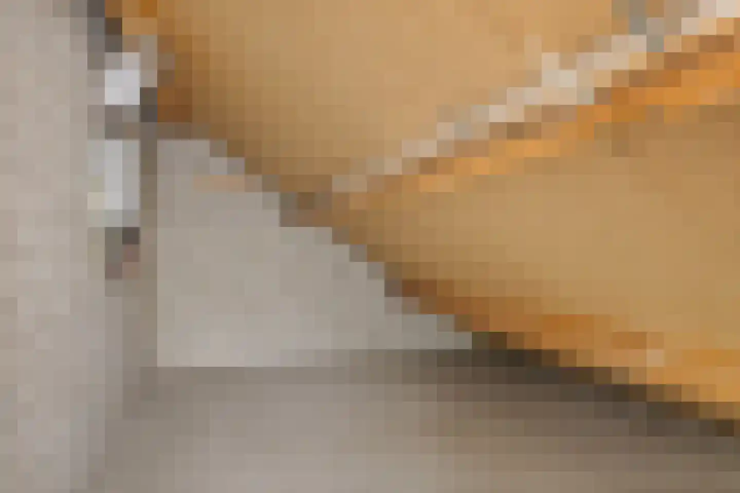 Sassenbergen 61 Borger thumbnail 36
