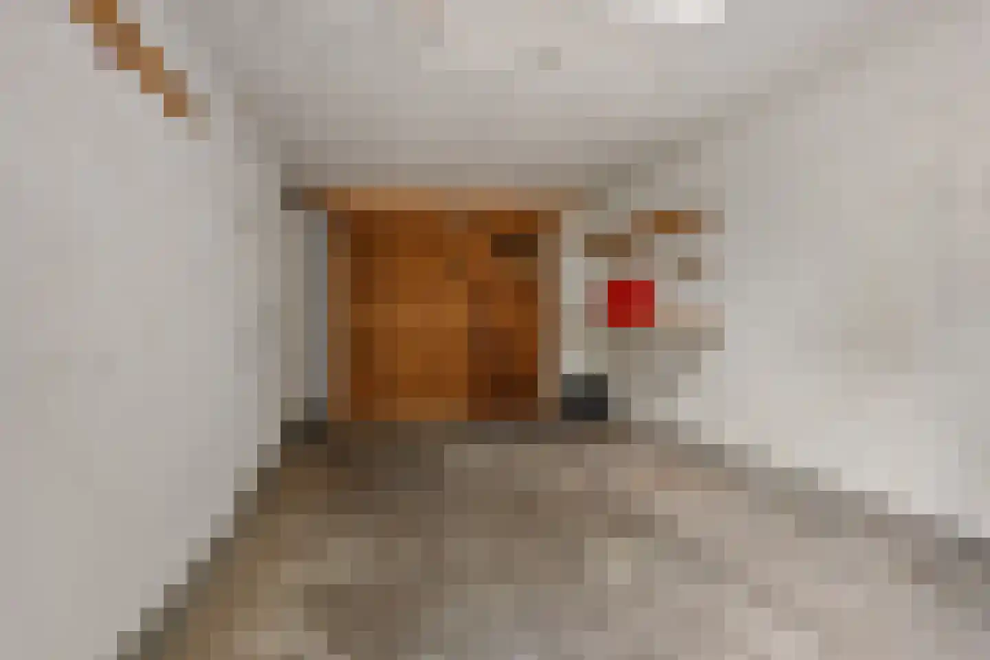 Sassenbergen 61 Borger thumbnail 38