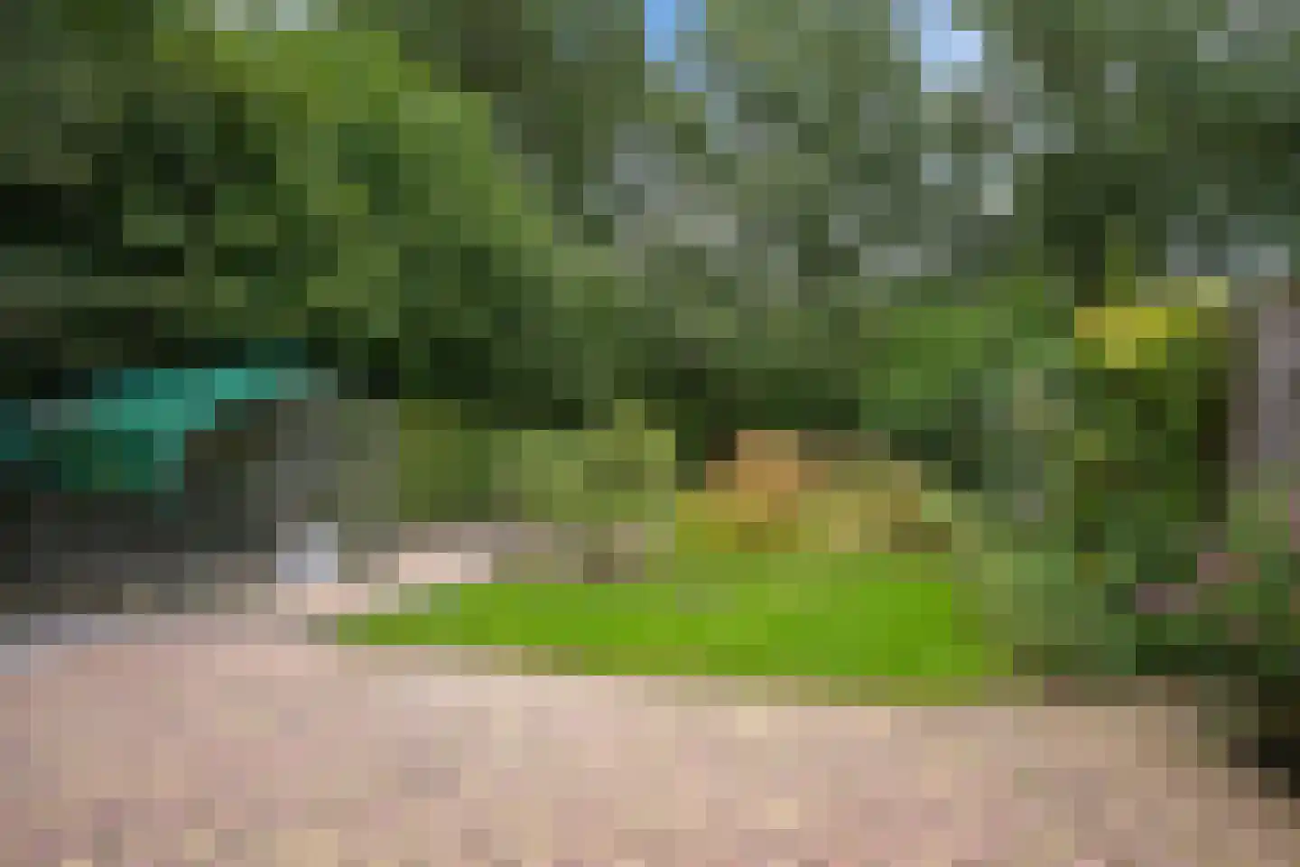 Sassenbergen 61 Borger thumbnail 40