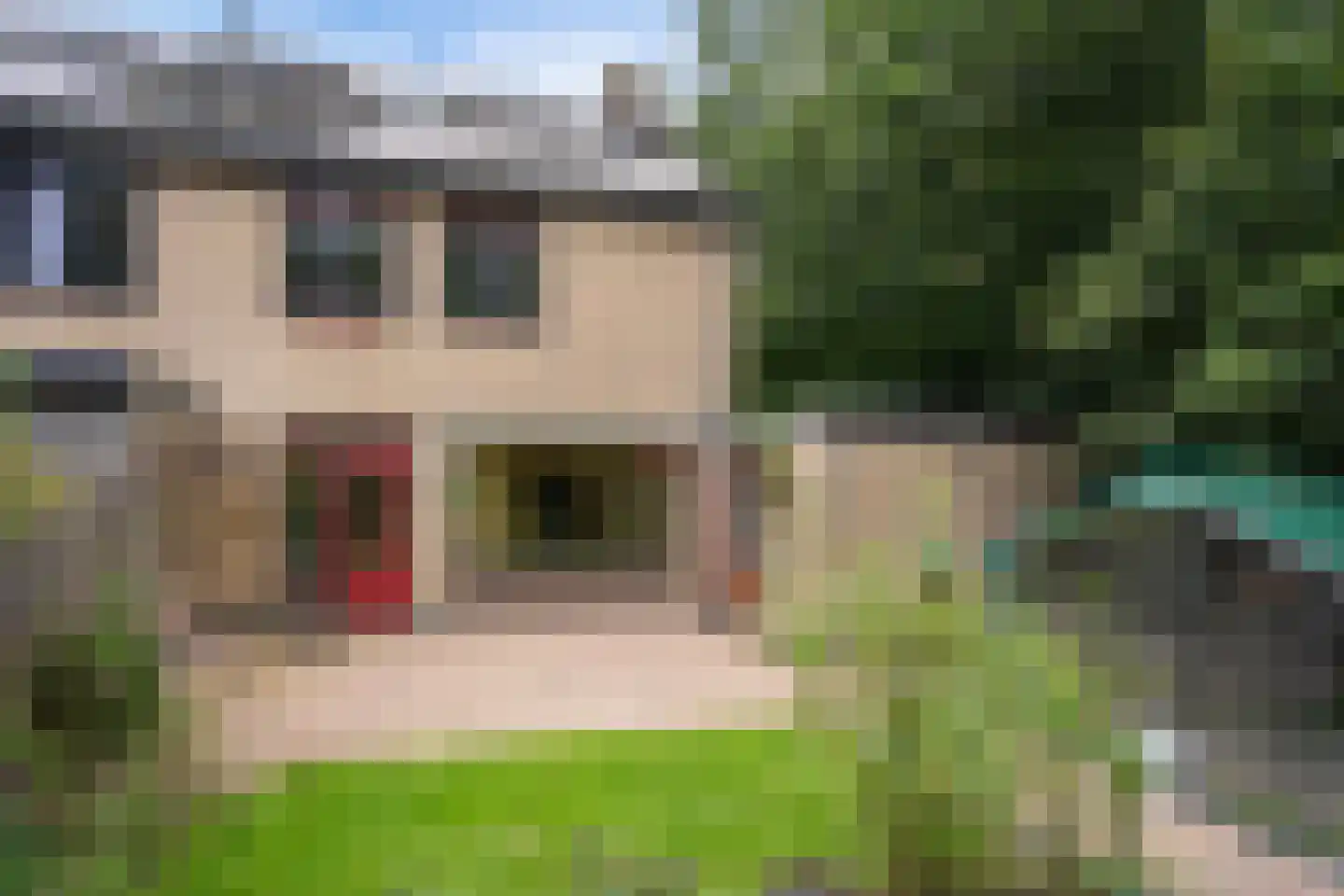 Sassenbergen 61 Borger thumbnail 41