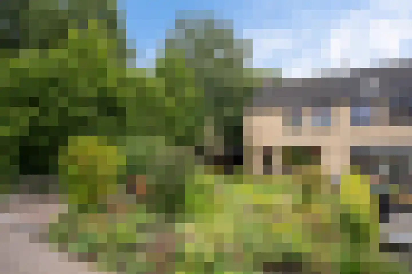 Sassenbergen 61 Borger thumbnail 42