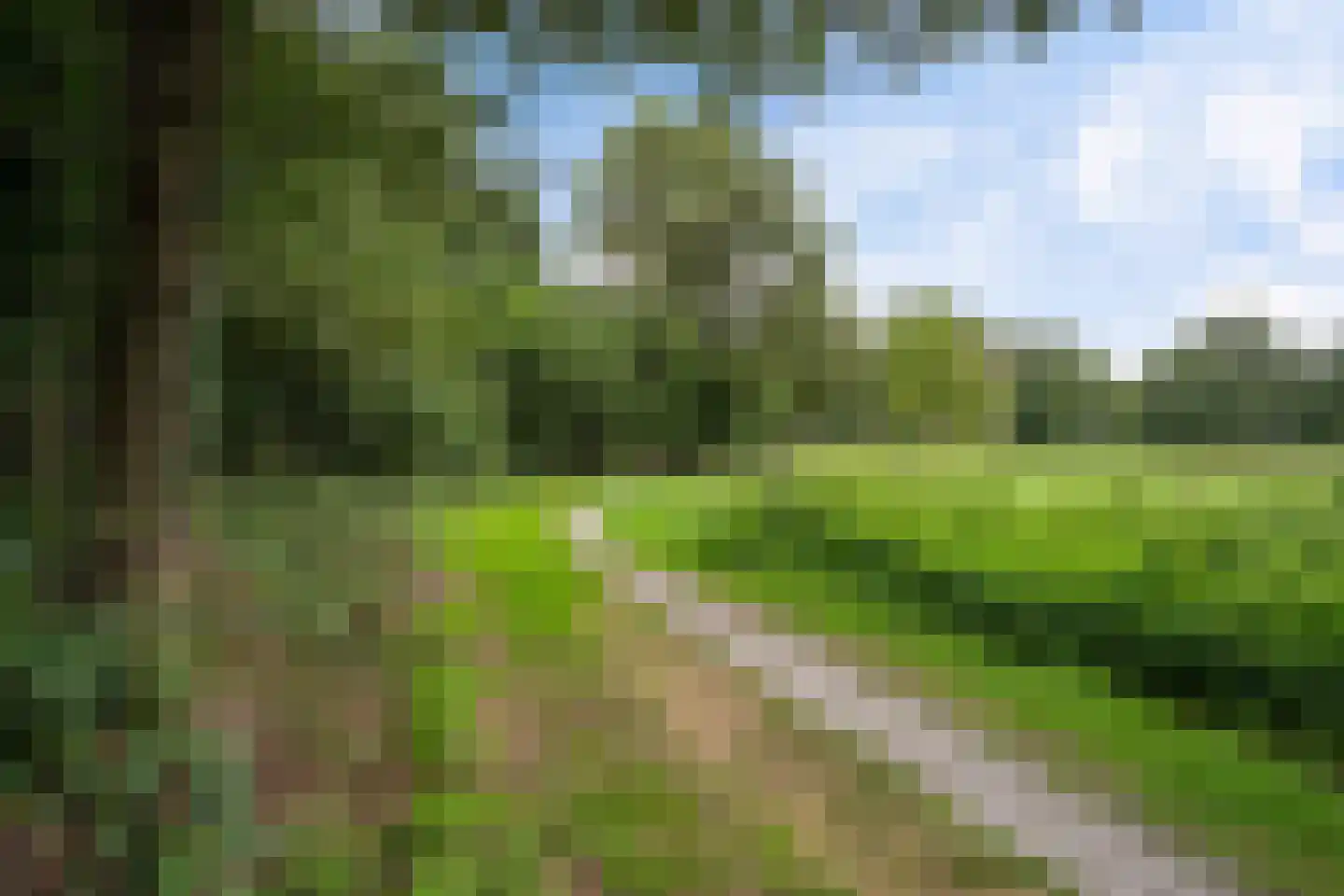 Sassenbergen 61 Borger thumbnail 5