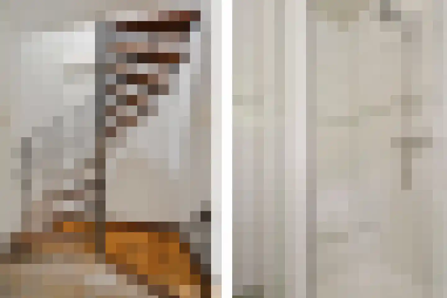 Sassenbergen 61 Borger thumbnail 7