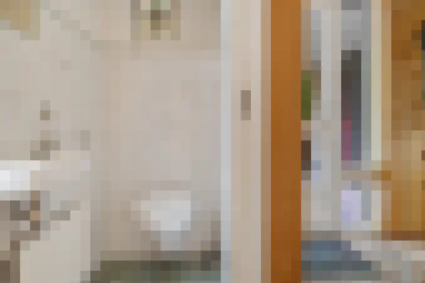 Sassenbergen 61 Borger thumbnail 9