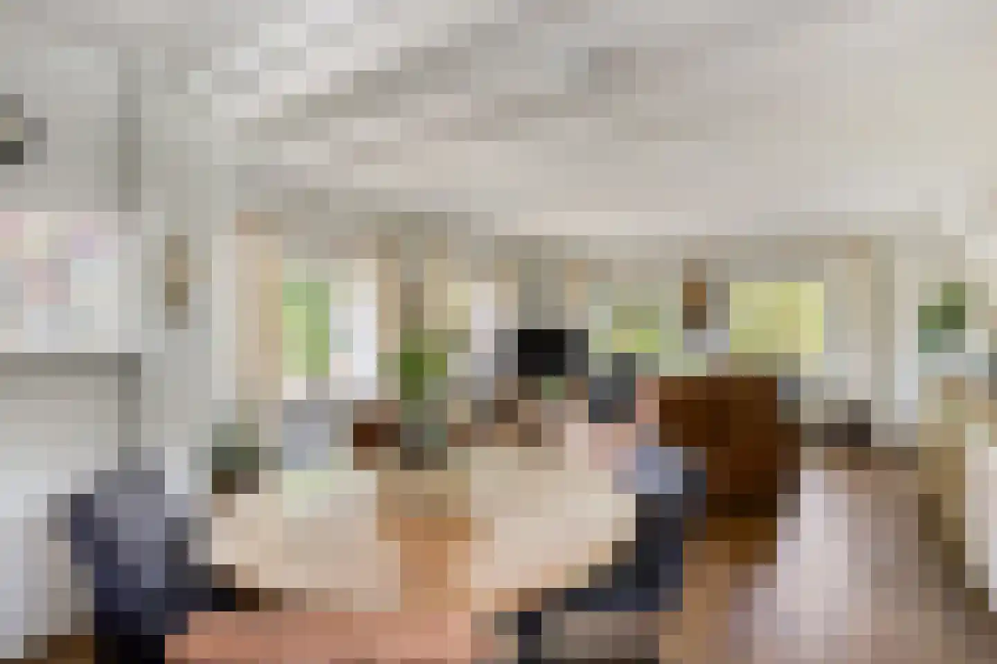 Sassendreef 12 Geffen thumbnail 13