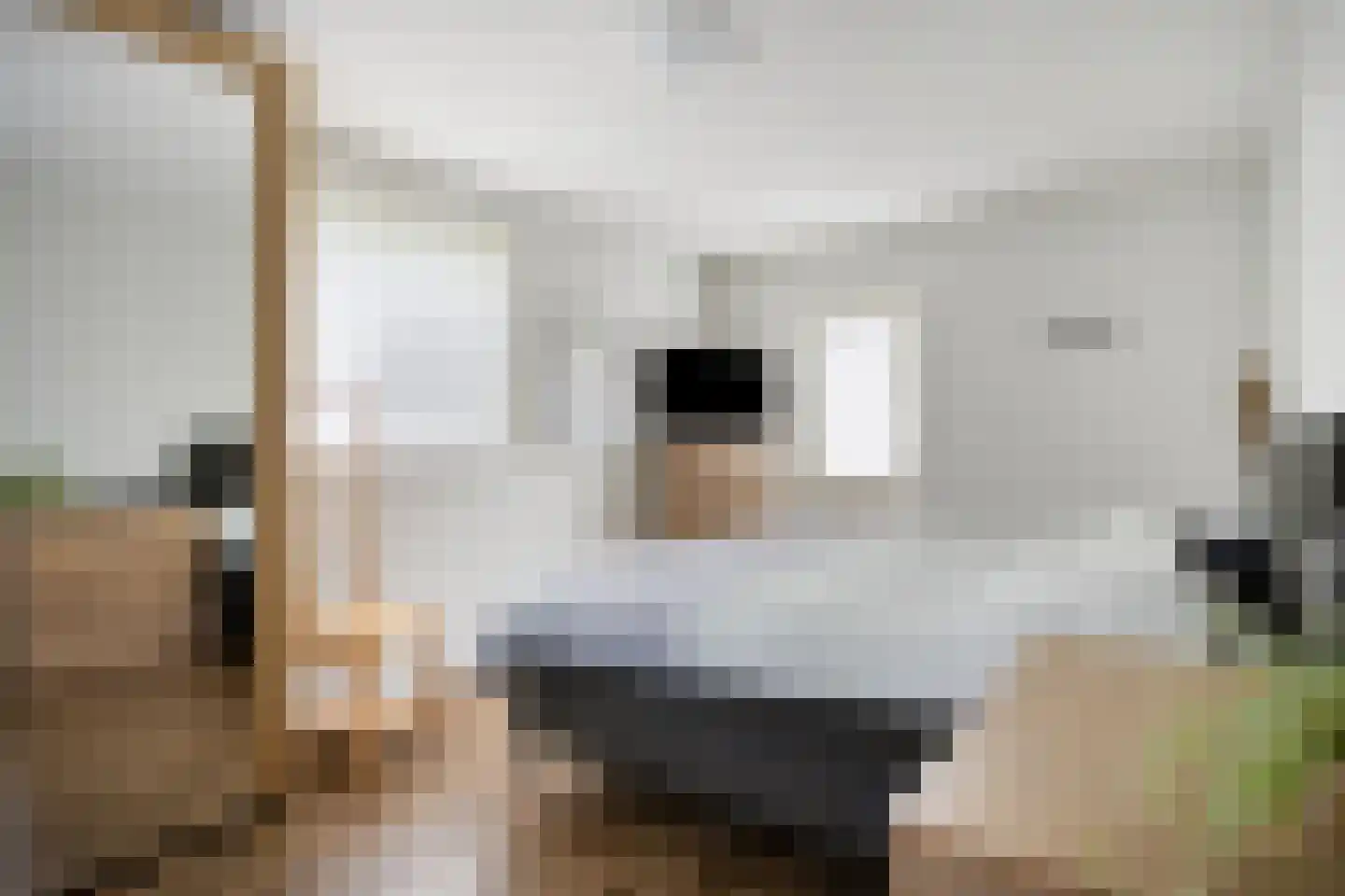 Sassendreef 12 Geffen thumbnail 15
