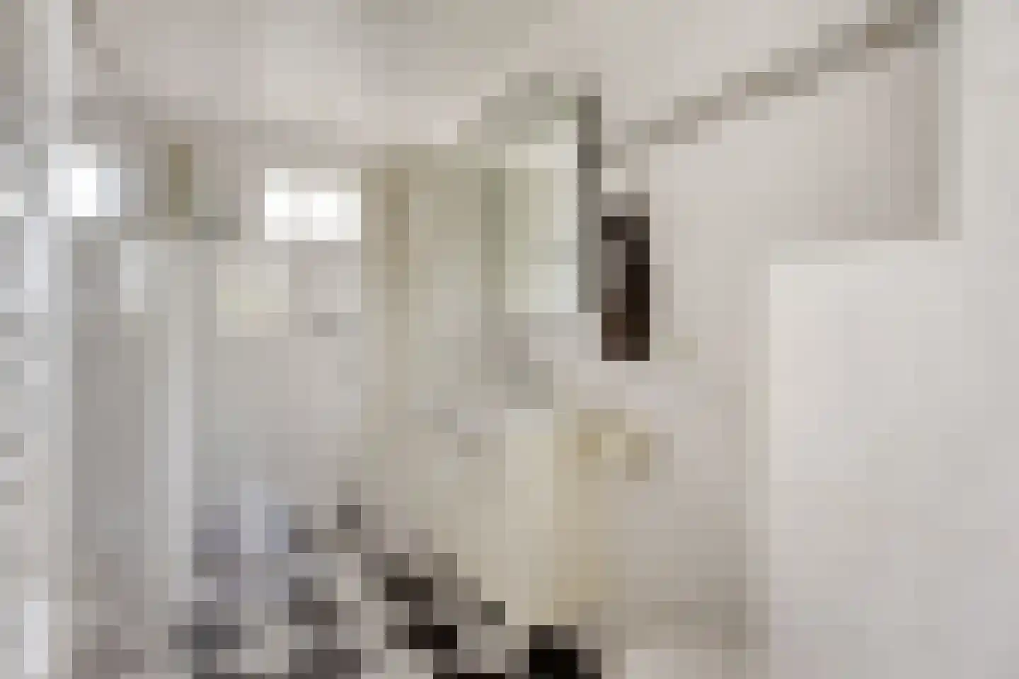 Sassendreef 12 Geffen thumbnail 17