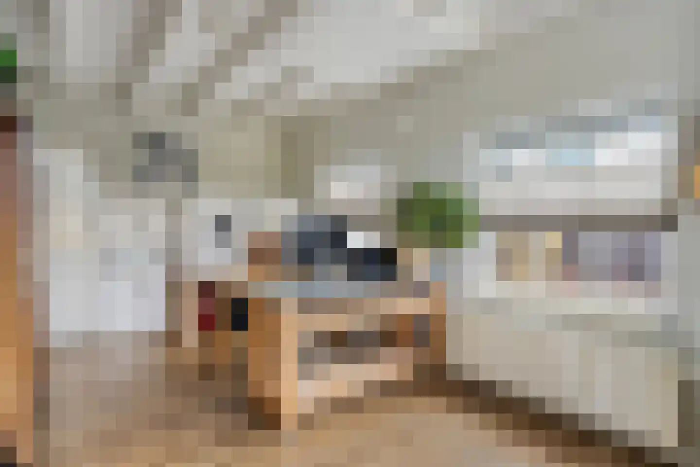 Sassendreef 12 Geffen thumbnail 19