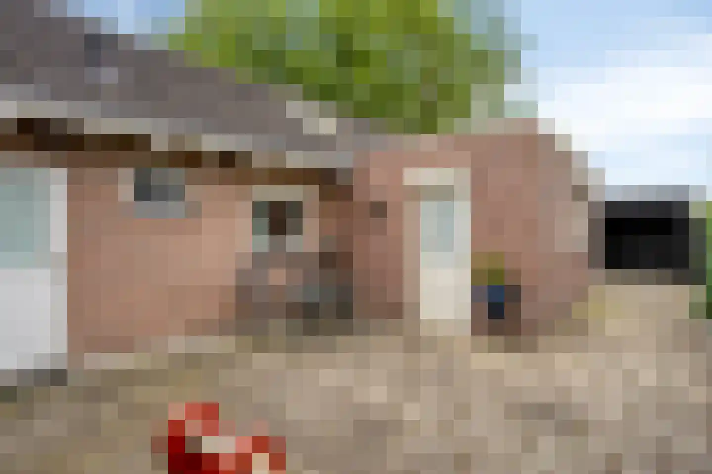 Sassendreef 12 Geffen thumbnail 22