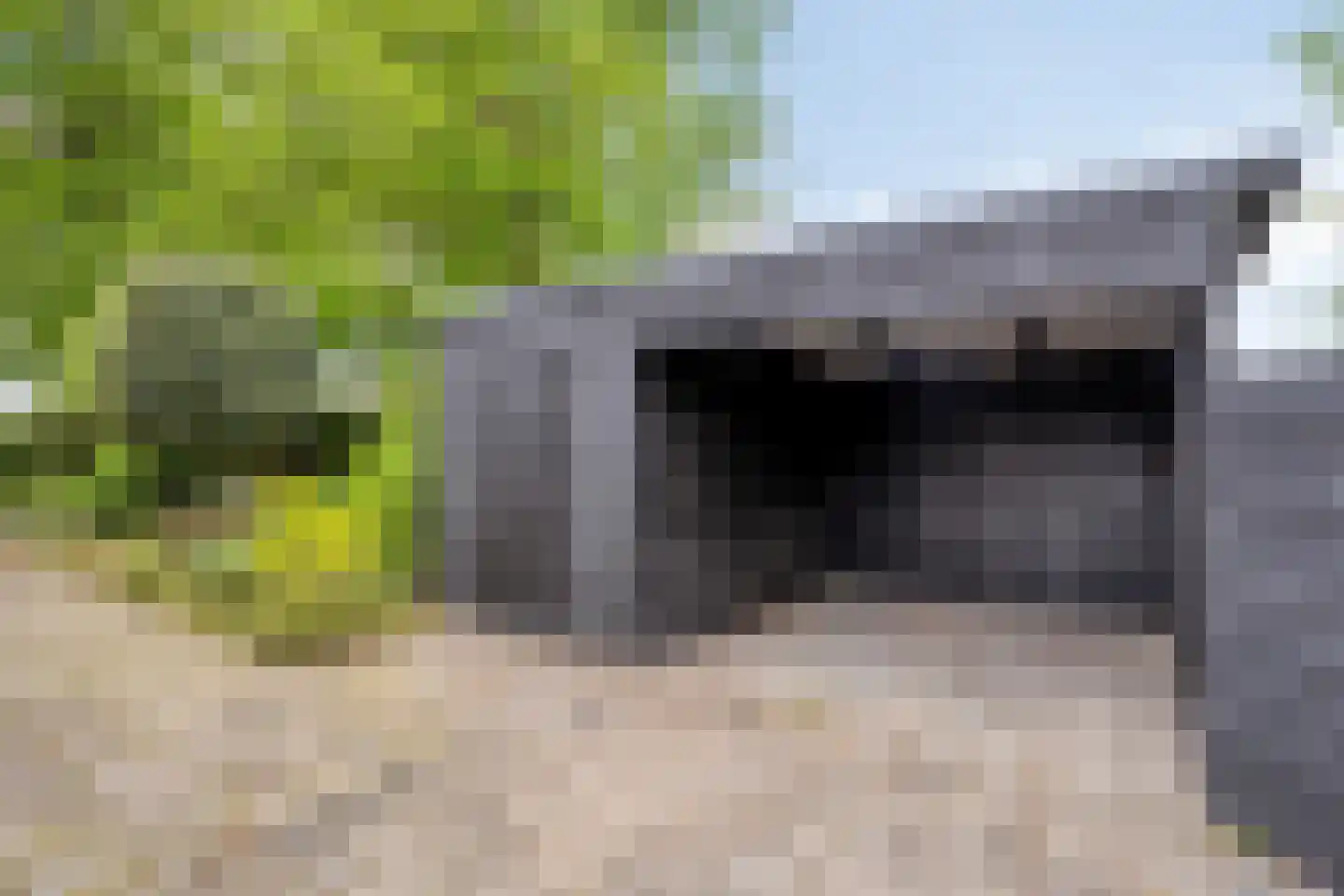 Sassendreef 12 Geffen thumbnail 24