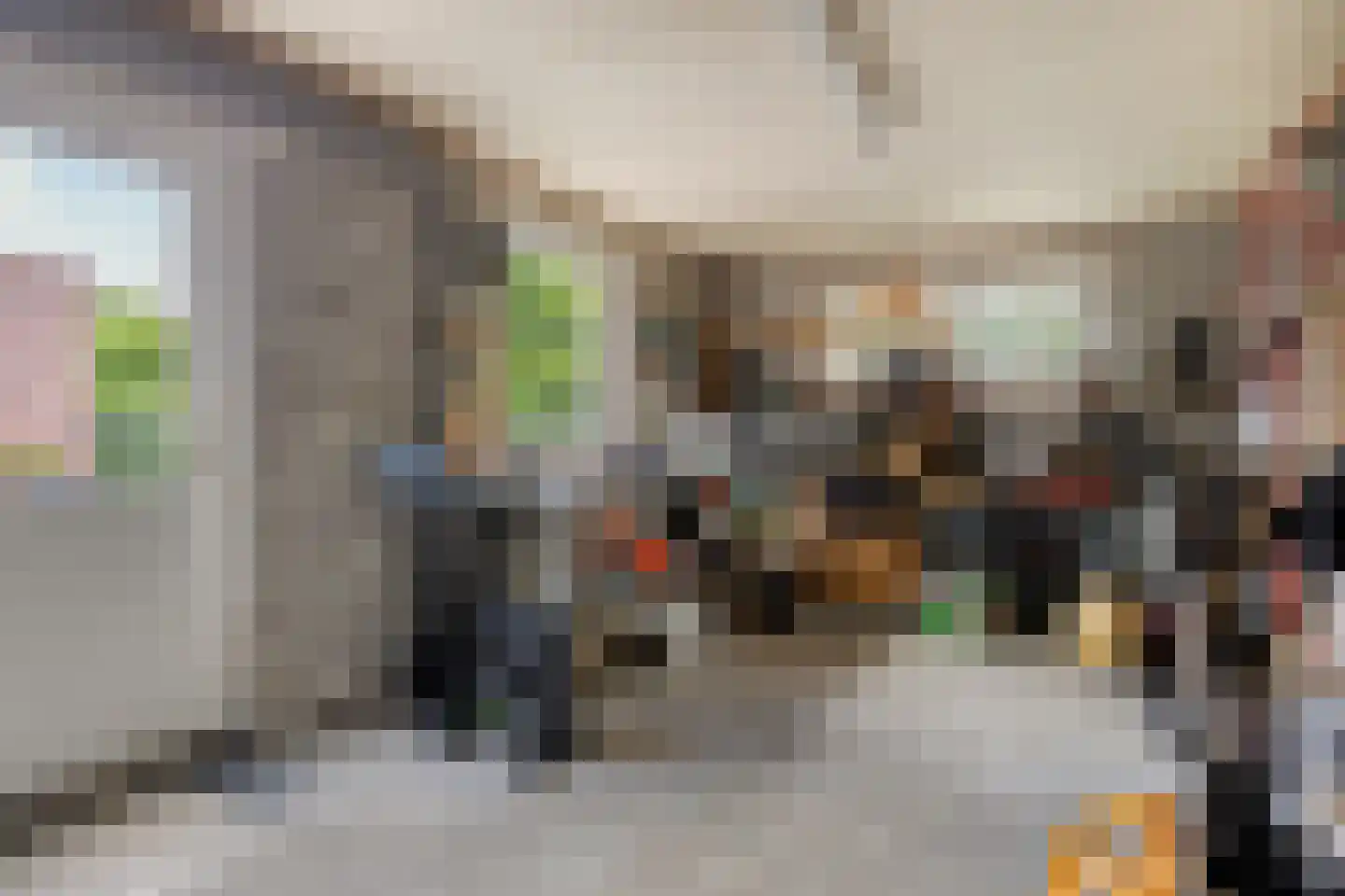 Sassendreef 12 Geffen thumbnail 25