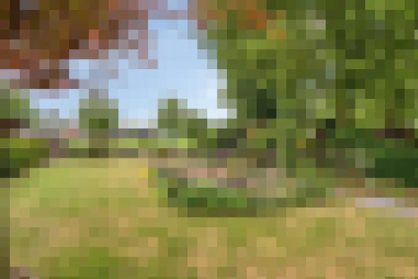 Sassendreef 12 Geffen thumbnail 28