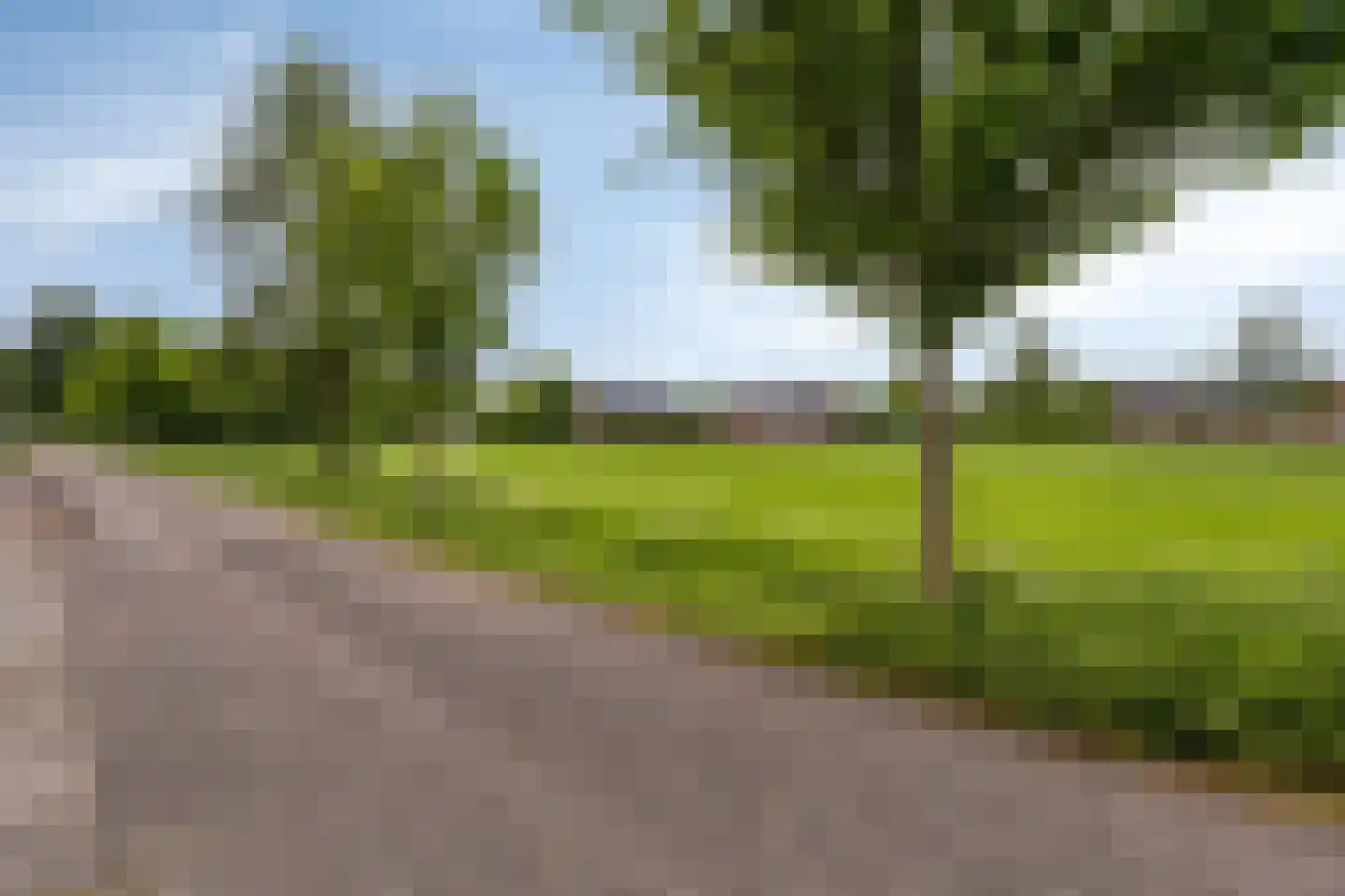 Sassendreef 12 Geffen thumbnail 31