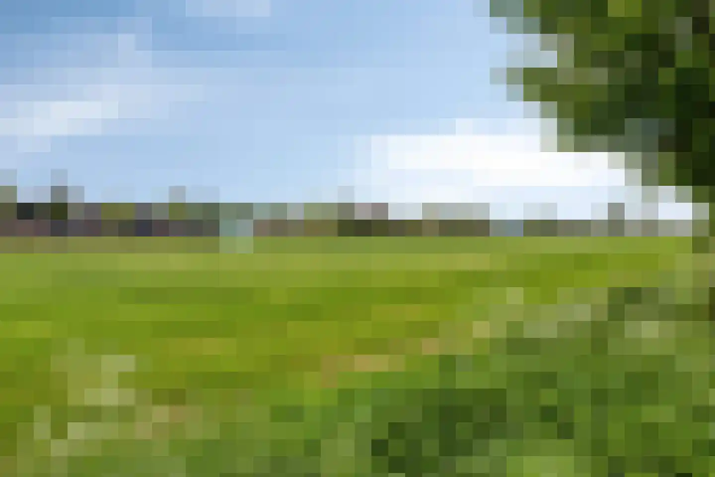 Sassendreef 12 Geffen thumbnail 32