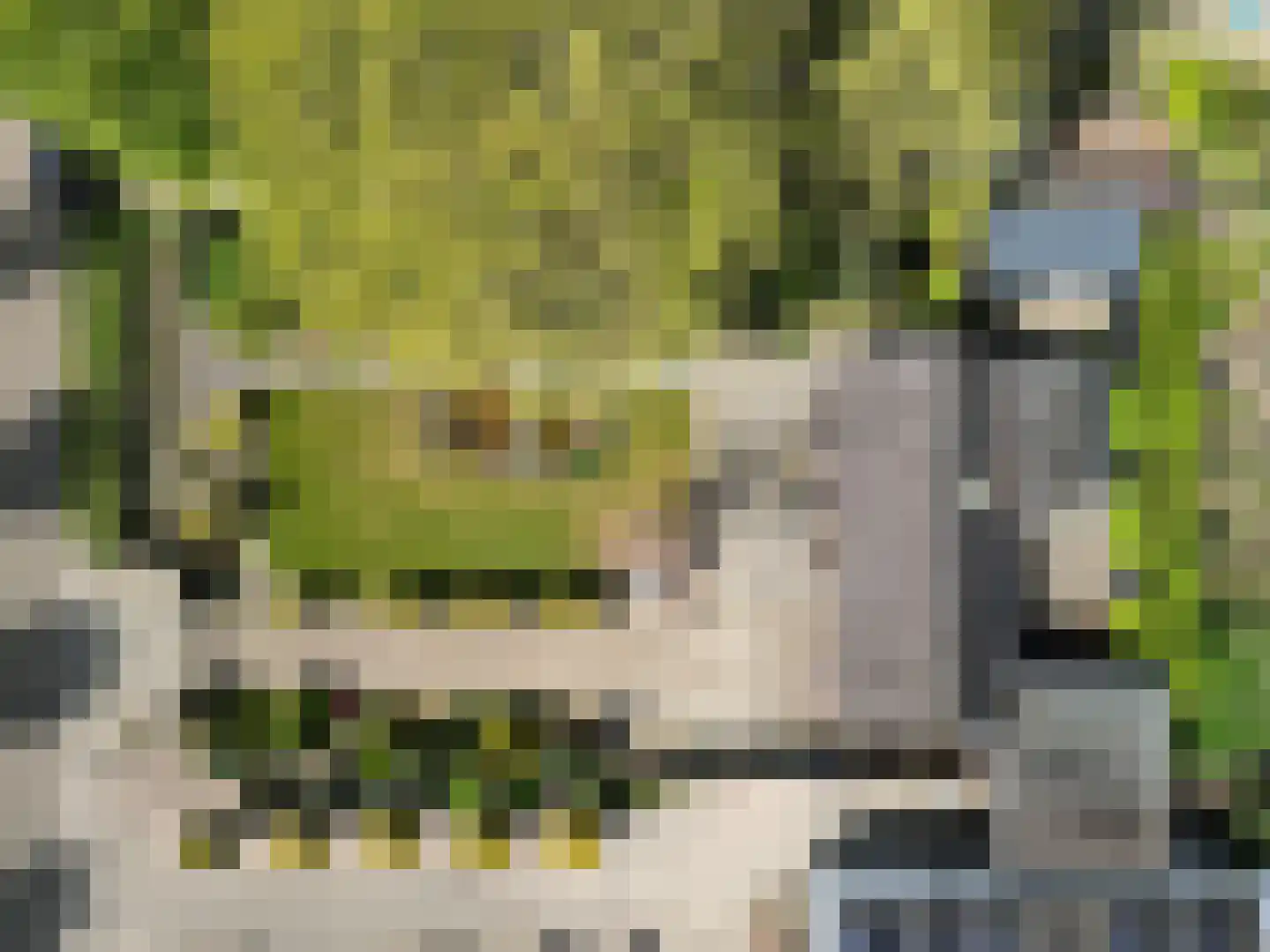 Sassendreef 12 Geffen thumbnail 34