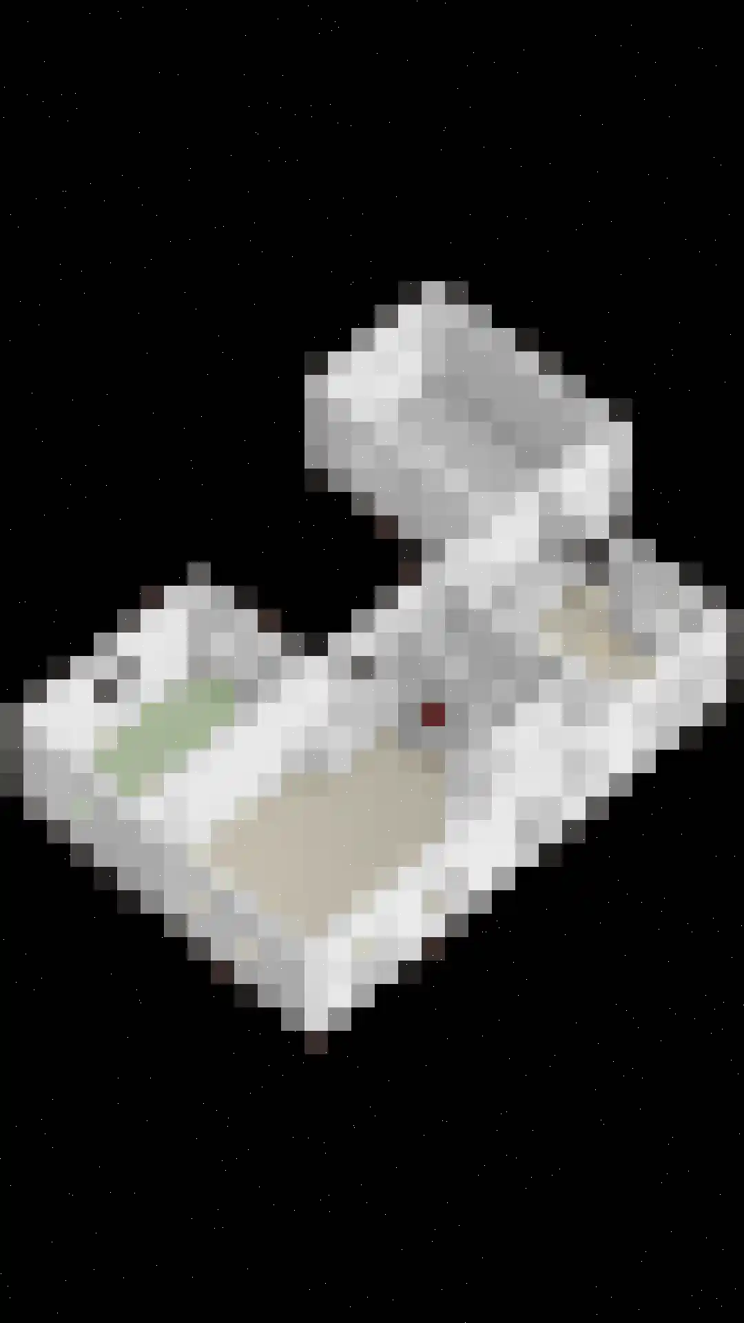 Sassendreef 12 Geffen thumbnail 41