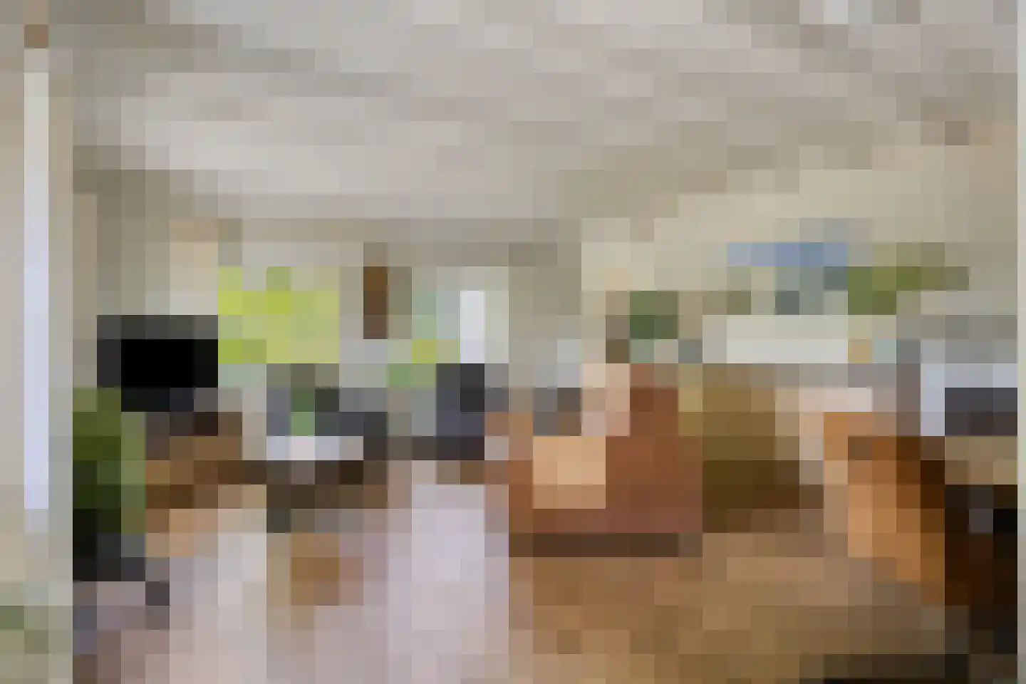 Sassendreef 12 Geffen thumbnail 6