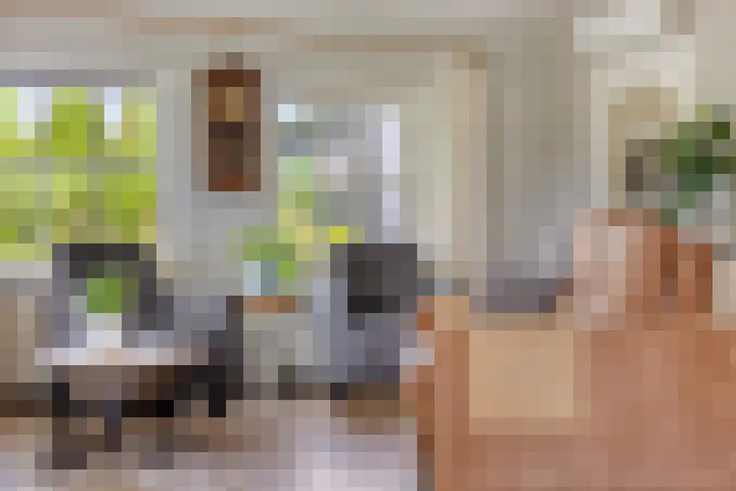 Sassendreef 12 Geffen thumbnail 7