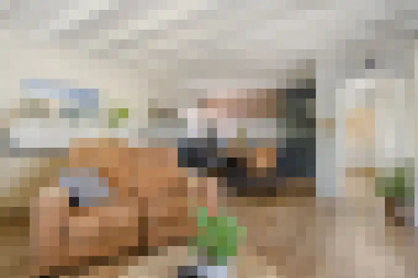Sassendreef 12 Geffen thumbnail 8