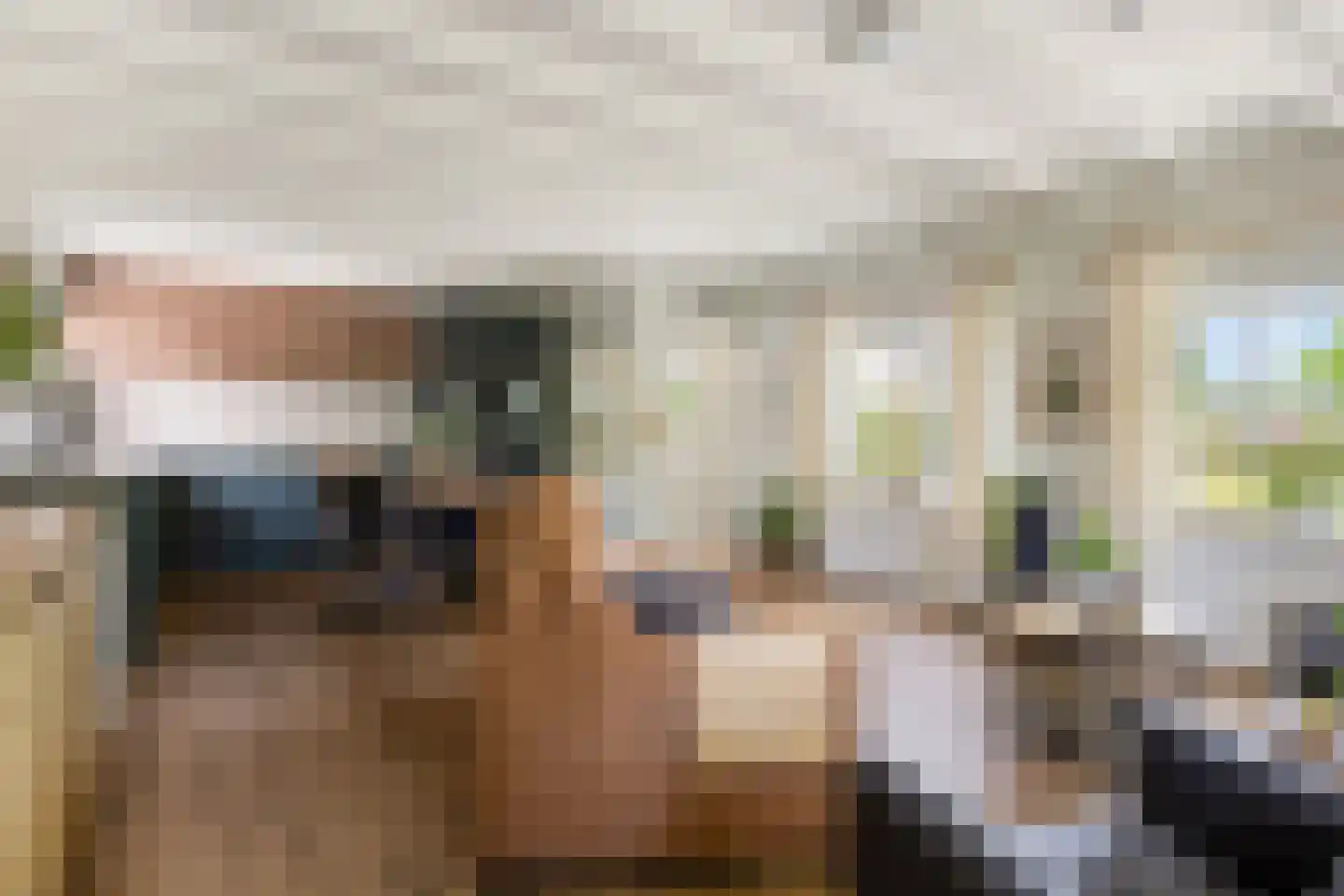 Sassendreef 12 Geffen thumbnail 9