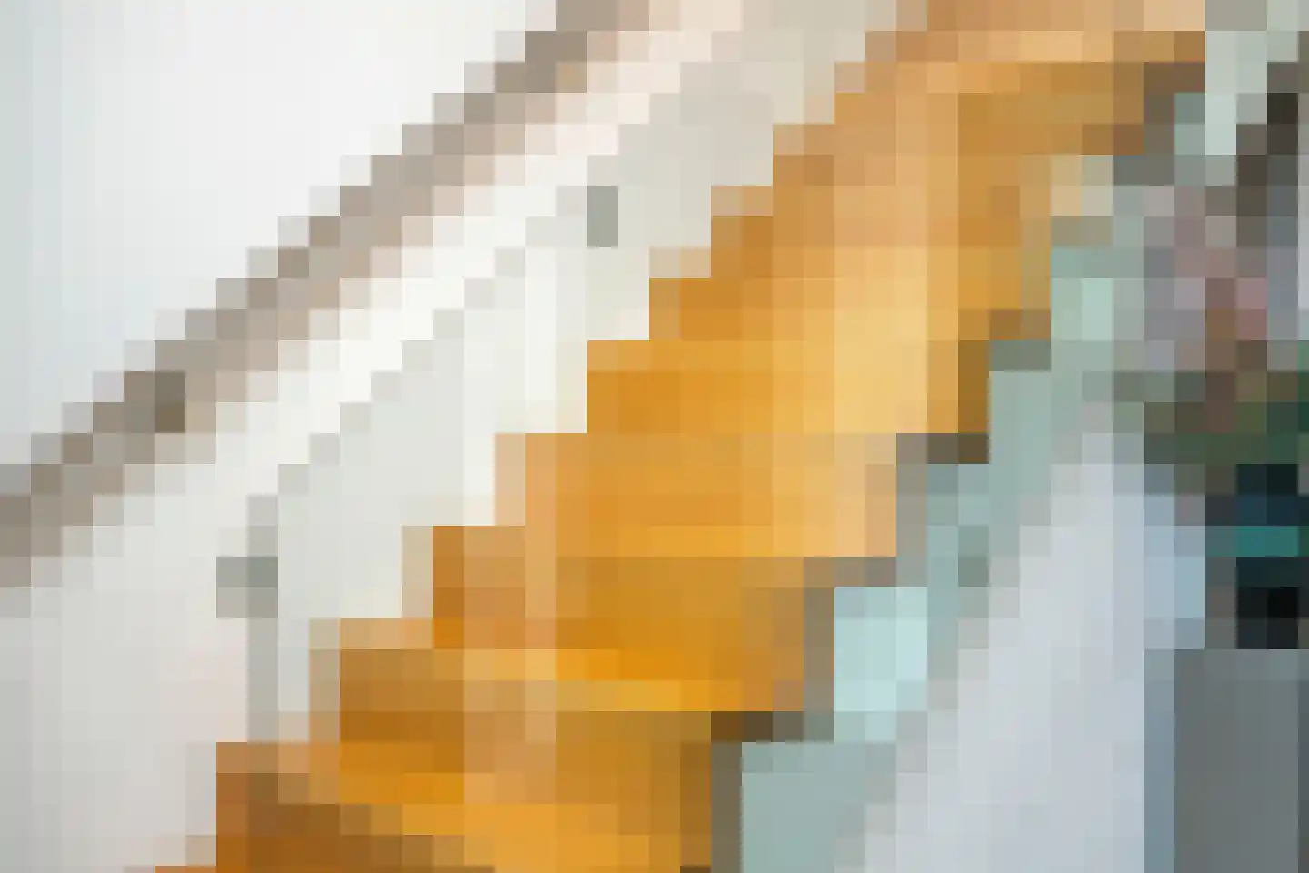Sassendreef 16 A Geffen thumbnail 29