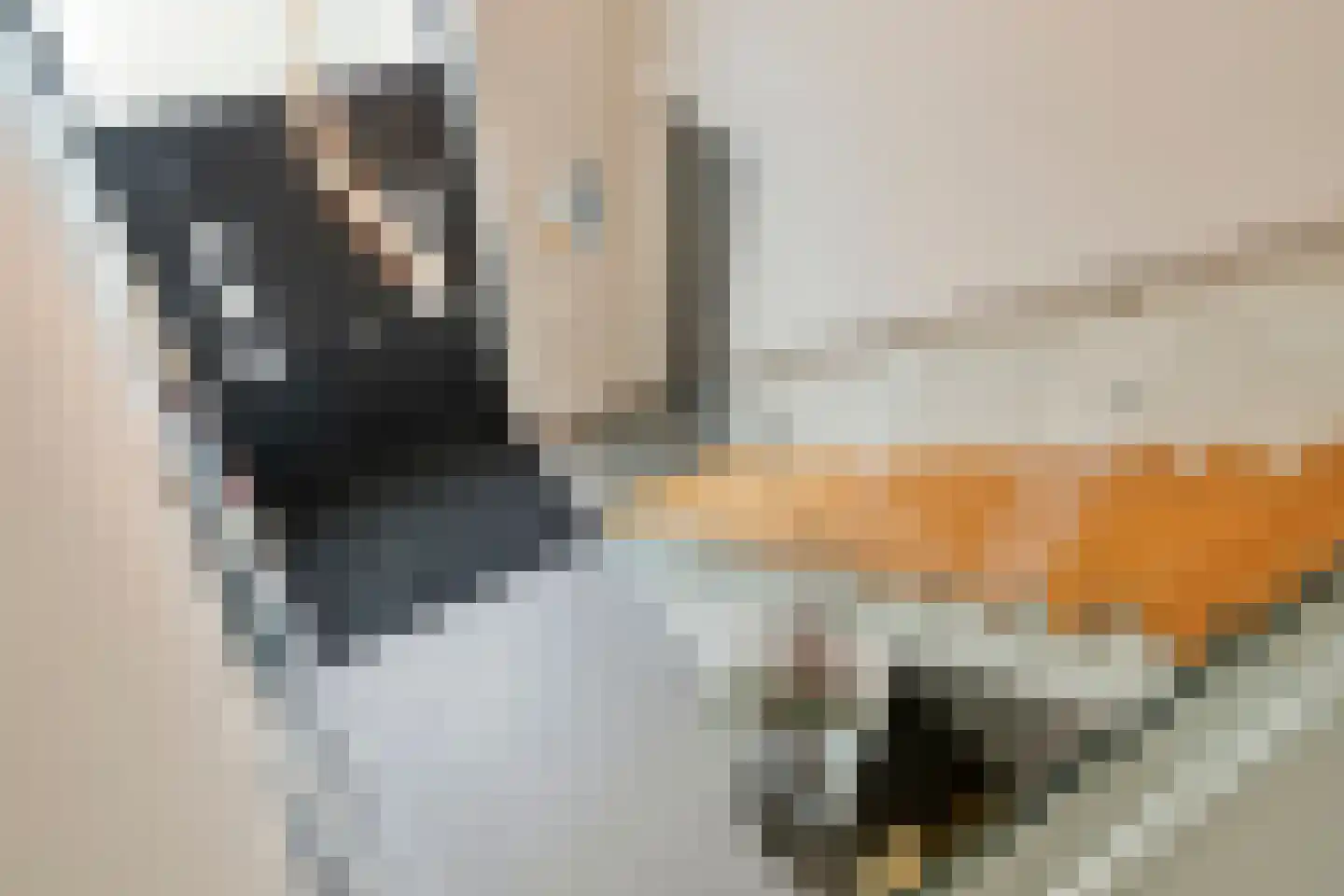 Sassendreef 16 A Geffen thumbnail 30