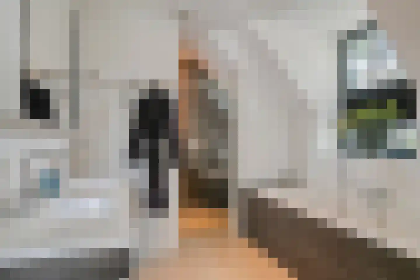 Sassendreef 16 A Geffen thumbnail 36