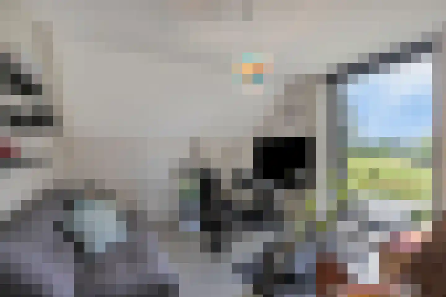 Sassendreef 16 A Geffen thumbnail 41